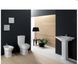 Раковина RAK Ceramics Washington комплект з ніжкою 760x540x830 мм Бордовий