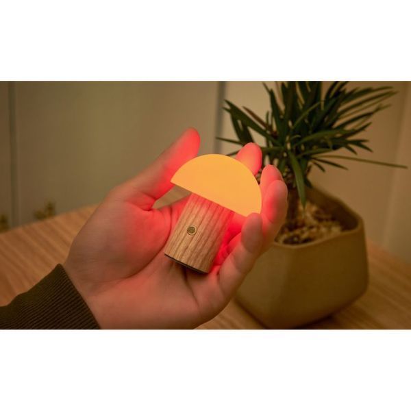 Светильник на аккумуляторе Gingko Alice Mushroom Lamp Super Mini RGB 65 мм (Белый ясень)