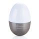 Світильник-нічник з LED-таймером Troika Eggtivate з датчиком вібрації (Сталевий)