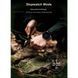 Часы мужские водостойкие тактические North Edge Terrax Black