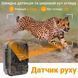 Фотопастка Suntek HC-940PRO-LI 4G 36mp 4K APP з акумулятором 10000mAh