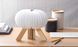 Лампа настільна Gingko R Space Lamp на акумуляторі