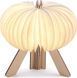 Лампа настільна Gingko R Space Lamp на акумуляторі