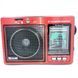 Радиоприемник многофункциональный Golon RX-006 UAR MP3