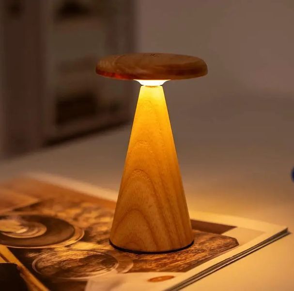 Светильник на аккумуляторе Gingko Sylva Mini (LED теплый свет + RGB) Белый ясень