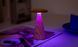 Светильник на аккумуляторе Gingko Sylva Mini (LED теплый свет + RGB) Белый ясень