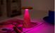 Светильник на аккумуляторе Gingko Sylva Mini (LED теплый свет + RGB) Белый ясень