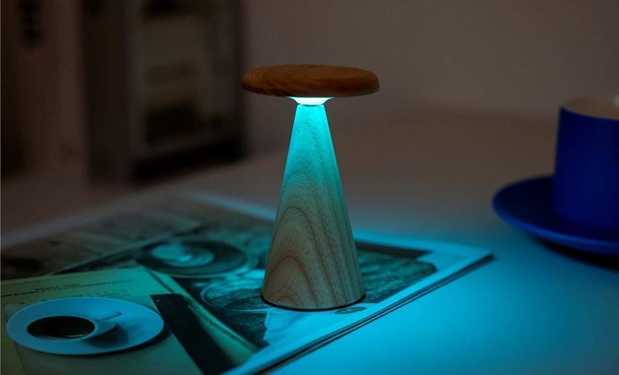 Светильник на аккумуляторе Gingko Sylva Mini (LED теплый свет + RGB) Белый ясень
