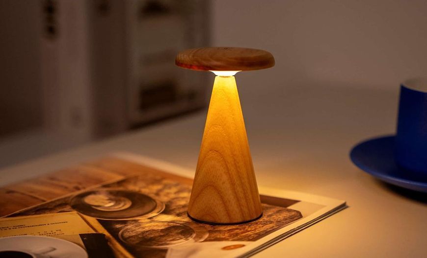 Светильник на аккумуляторе Gingko Sylva Mini (LED теплый свет + RGB) Белый ясень