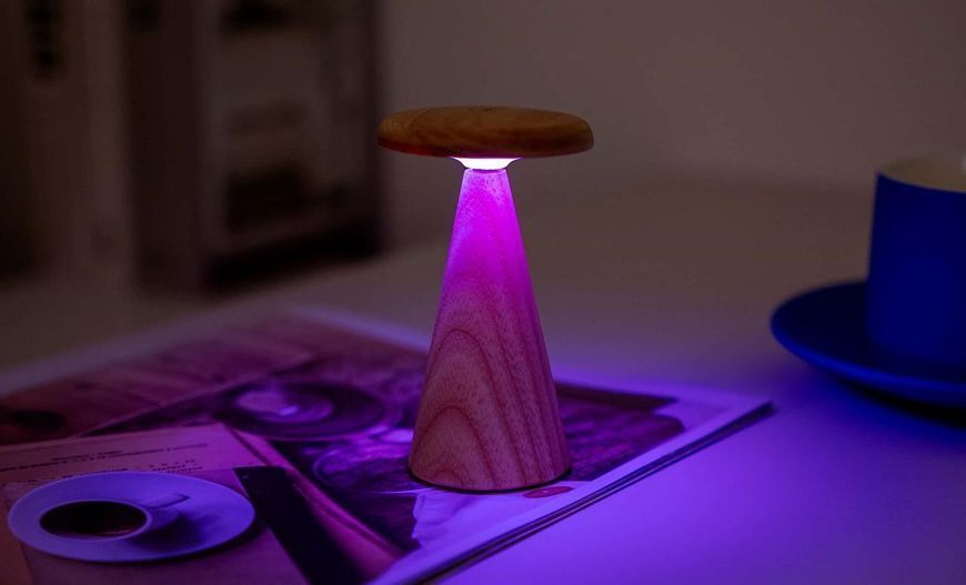 Светильник на аккумуляторе Gingko Sylva Mini (LED теплый свет + RGB) Белый ясень