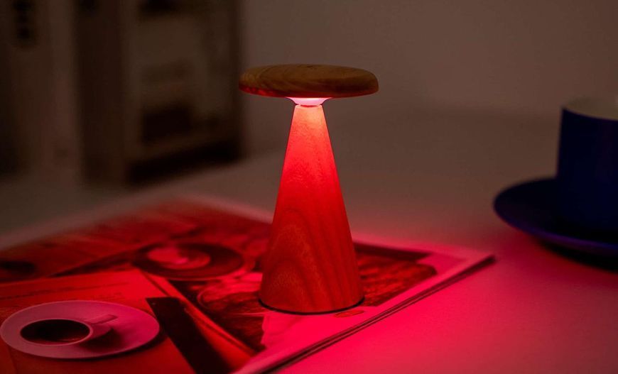 Светильник на аккумуляторе Gingko Sylva Mini (LED теплый свет + RGB) Белый ясень