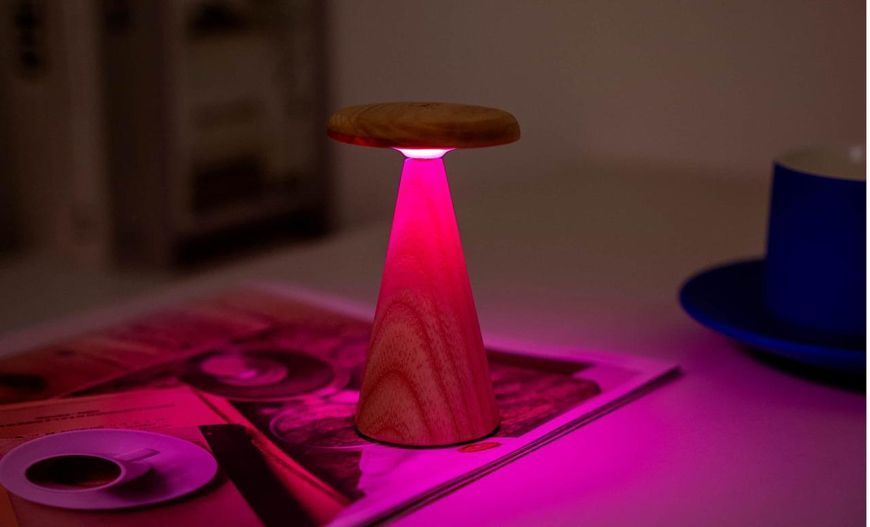 Светильник на аккумуляторе Gingko Sylva Mini (LED теплый свет + RGB) Белый ясень