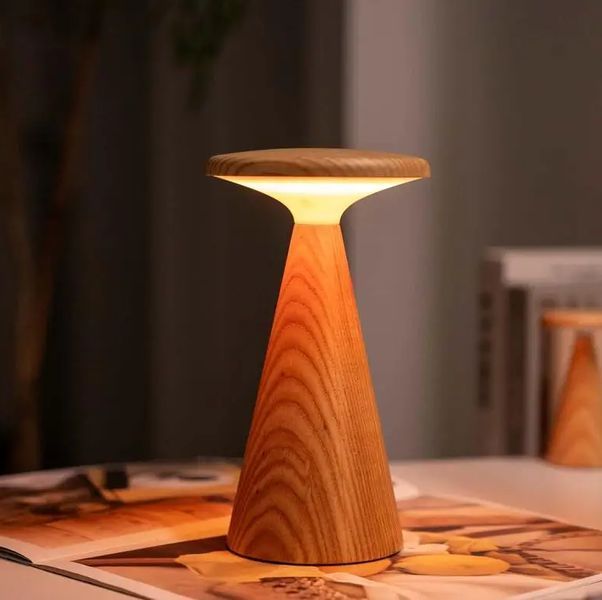 Світильник на акумуляторі Gingko Sylva Large (LED тепле світло + RGB) Білий ясен
