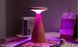 Світильник на акумуляторі Gingko Sylva Large (LED тепле світло + RGB) Білий ясен