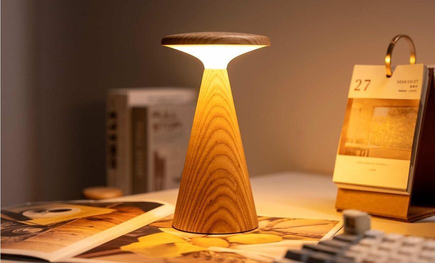 Світильник на акумуляторі Gingko Sylva Large (LED тепле світло + RGB) Білий ясен