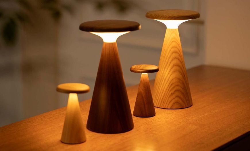 Світильник на акумуляторі Gingko Sylva Large (LED тепле світло + RGB) Білий ясен