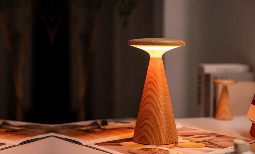 Світильник на акумуляторі Gingko Sylva Large (LED тепле світло + RGB) Білий ясен