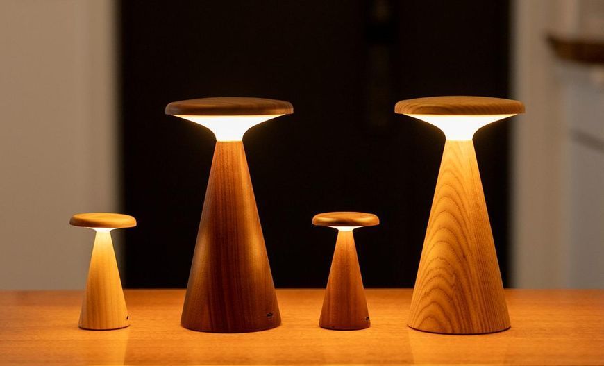 Світильник на акумуляторі Gingko Sylva Large (LED тепле світло + RGB) Білий ясен