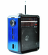 Радиоприемник колонка Golon RX-9100 с фонариком Синий