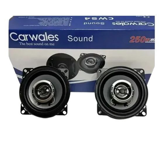 Динаміки автомобільні CWS-4 Carwales Sound 10 см 250W