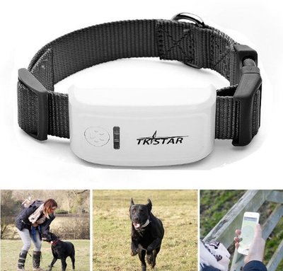 Нашийник Tkstar TK911 з GPS трекером і вологозахист для собак і кішок