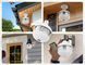 Wi-Fi IP-камера видеонаблюдения 4MP Ultra HD 360 &deg; с LED-подсветкой